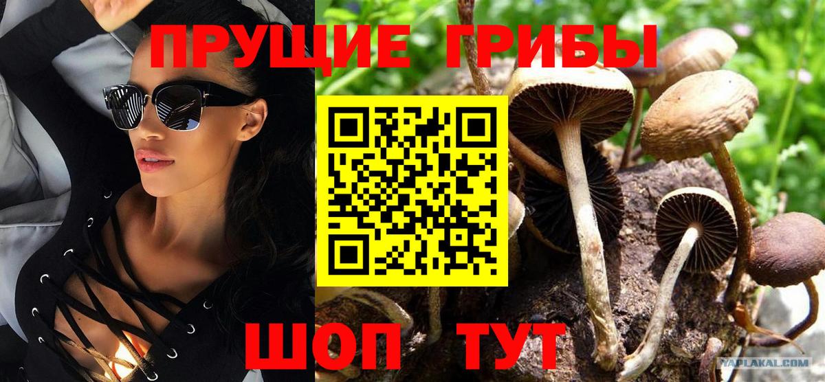 Галлюциногенные грибы прущие грибы Аргун